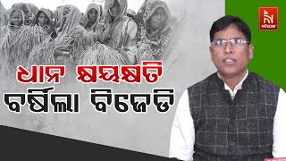 BJD MLA Arun Sahoo Hits Out At State Govt Over Crop Damage Due to Unseasonal Rain in Odisha | Watch