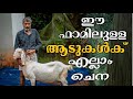 എല്ലാം നല്ല കിടിലൻ ആടുകൾ .. ആ ഫാമിലുള്ള ആടുകളെല്ലാം ചെന | Profitable Goat Farm | Goat Farming Kerala
