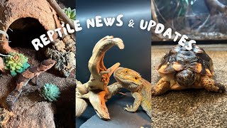 Reptile News \u0026 Updates