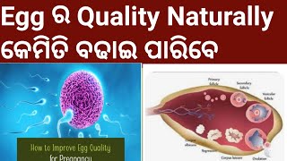 Egg ର Quality Naturally କେମିତି ବଢାଇ ପାରିବେ।।How To Improve Egg Quality Naturally।Odia Pregnancy Tips