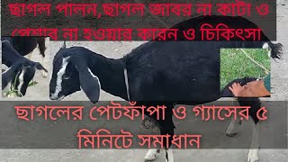 ছাগলের  পেটফাপা,পেটে গ্যাস, প্রসাব পায়খানা বন্ধ হলে করনিয়