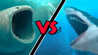 Megalodon VS Bloop – (Who Would Win?)
