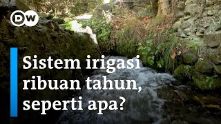 Petani 95 tahun selamatkan sistem irigasi kuno berusia ribuan tahun! | DW Inovator