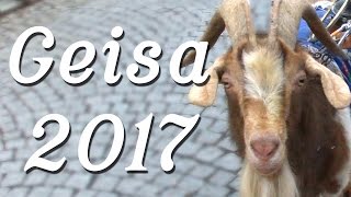 The goat is free - Carnival in Geisa Germany