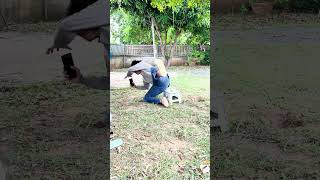 มาเล่นบอลกันเถอะ #ตลก #ฮาๆ #funny #funnyvideo #คลายเครียด