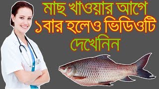 সাবধান ! মাছ খাওয়ার আগে একবার হলেও ভিডিও টি দেখেনিন ! মাছ খাওয়ার উপকারিতা এবং অপকারিতা জেনেনিন