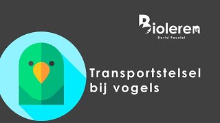 Bioleren - vogel