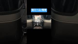 猫ミーム×電車