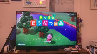 【直撮り実況】しげおのどうぶつの森