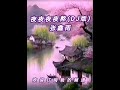 广场舞曲 夜夜夜夜熬 dj版 张鑫雨