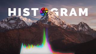 Darktable Tutorial 🎨 Histogram, Waveform, Vectorscope