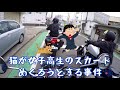 【女子ライダー】プチ子参戦！富士山ツーリング【モトブログ】@overworkers9652