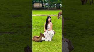 鹿と記念撮影🫎外国人観光客🦌Nara Park