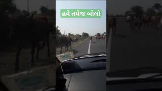 હવે તમેજ બોલો#maitrigeneralstore #શોર્ટ્સ #shorts #viral #gujarat #road #gaumata #sarkar #surat