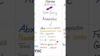 Clostridium difficile and pseudomembranous colitis- microbiota fecal transplant- Microbiology 🧫