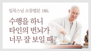 수행을 하니 타인의 번뇌가 너무 잘 보일 때ㅣ일묵스님ㅣ제따와나선원 월요소참 186.