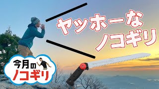 【今月の鋸】バックティースで手首を傷めず2段切り⁈荒い刃でザックザク切れるノコギリ登場！