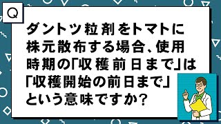 【農薬Q\u0026A】ダントツ粒剤をトマトに株元散布する場合、使用時期の「収穫前日まで」は「収穫開始の前日まで」という意味ですか？