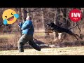 Funny & Hilarious People's Life 😂 #177 - Try not to Laugh | Instant Regret Fails Compilation 2024