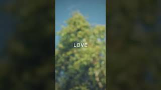 🤍 OUT NOW! 🤍 “My First Love” by Jordan Merritt Lyric Video #valentinesday2025 #music