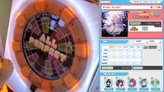 【maimaiでらっくす】華の集落、秋のお届け STD譜面 [EXPERT] SSS+ AP