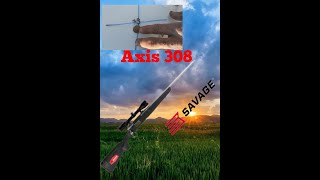 savage axis 308win prueba agrupación 50m balas magtech full metal 150g