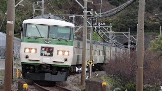 185系踊り子 251系 651系 黒船電車 午後の撮影記録 伊豆急行線