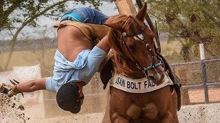 OS PEÃO MAIS ABEIA DO BRASIL 🐝 AAA O BURRO TÁ É MANSO ▪ 10