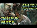 D&D5E: CENTAUR GUIDE