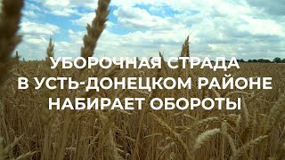 Уборочная страда в Усть-Донецком районе набирает обороты