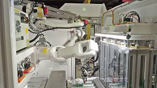 Robotic Sorting Work Cell