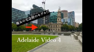 【アデレードVlog4】アデレードの中心「ビクトリア・スクエア」/【Adelaide Vlog 4】Victoria Square, the center of Adelaide.