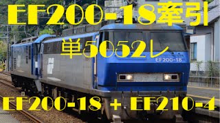 JR貨物 EF200-18代走牽引 EF210-4 単5052レ 安倍川・興津駅通過シーン