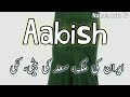 aabish name meaning aabish name meaning in urdu aabish name meaning in hindi aabish meaning