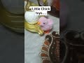 Little Chick toy #funnyvideo #toys #chicken