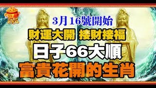 3月16號開始財運大開，接財接福，日子六六大順， 富貴花開的生肖