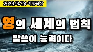 영의 세계 육의 세계를 정복하고 다스리는 능력의 근본은 하나님의 말씀이다. 말씀이 능력이다 | 0824 아침묵상 | 다정한교회 김철중목사