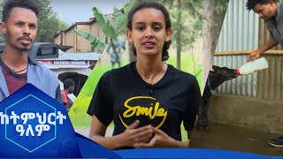 ስራ መፍጠር እና ሀብት ማፍራት የቻሉ ስኬታማ የTVET ሰልጣኞች