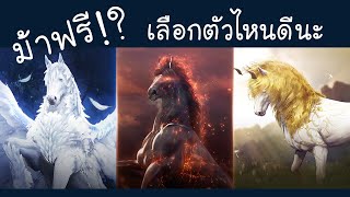 แจกม้ามายาฟรี จะเลือกตัวไหนดี? - Black Desert Console