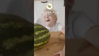 모두의 꿀팁 당도 높은 맛있는 수박 고르는 방법