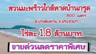 (EP.001)ขายถูกที่ดินใกล้ทะเล(ลดเหลือไร่ละ1.8ล้านบาท)(4ไร่3งาน73ตรว.)หาดบ้านกรูดบางสะพานประจวบฯ