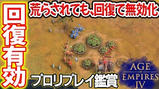 プロリプレイ鑑賞 フランスVSデリースルタン【1v1, Age of Empires 4, Aoe4, ゲーム実況】