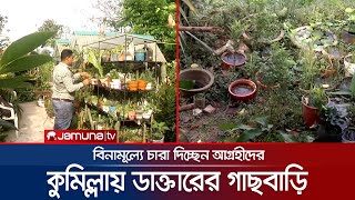 গাছের জগতে বসবাস; বৃক্ষপ্রেমী ডাক্তারের দৃষ্টিনন্দন বাড়ি | Tree house