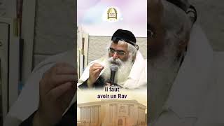 Avec un Rav tu peux arriver haut | הרב יורם אברגל זצ\