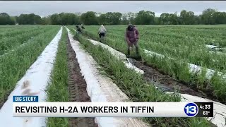 13 Action News Big Story: Challenges for farmers