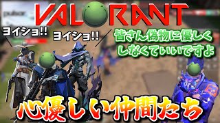 【VALORANT】偽物にも優しく接する仲間たち【はりーシ 切り抜き】2024/5/29