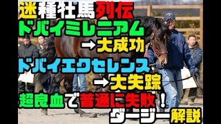 ドバイミレニアムの全弟が日本で種牡馬入りしていた！？魅惑の良血・ダージー解説【競馬事件簿】【迷種牡馬列伝】【ゆっくり解説】