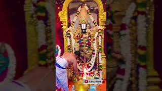 ఏడుకొండలవాడా వెంకటరమణా గోవిందా#devotional#shortsfeed#ytshorts#bakhi#slokas#songs#viral#lyrics#videos