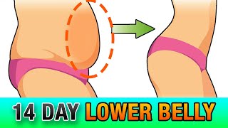 14 Day Lower Belly Fat Workout At Home