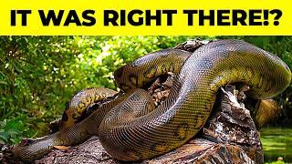 25 Strange New Species Scientists Recently Discovered